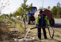 ТҮРКІСТАН: 1 аптада 200-ден астам тазалық шарасы өтті