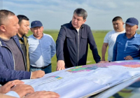 ТҮРКІСТАН: Келесте шегіртке және зиянкестермен күрес жөніндегі штаб отырысы өтті