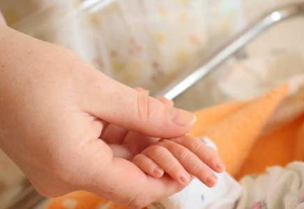 Шығыс Қазақстанда Тәуелсіздік күнінде 50 сәби дүниеге келді