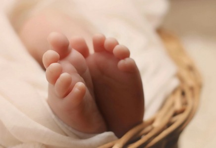 Қосшыда жол жиегінен шақалақтың мәйіті табылды