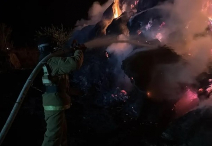 Ақмола облысында 70 тонна шөп өртеніп кетті