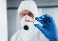 Өлімге әкелетін хантавирус: Британияда жаңа вакцина әзірленіп жатыр