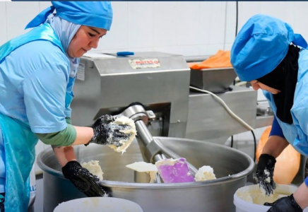   Шымкенттің сүт өнімдері әлемдік нарыққа экспортталады