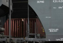 Қазақстан астығы тиелген пойыз Арменияға жетті