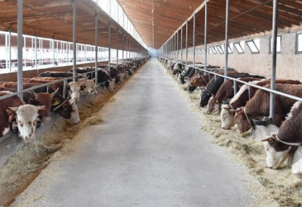 ТҮРКІСТАН: Отырарда ірі жобалар жүзеге асырылады