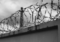 16 жастағы жеткіншек рақымшылықпен бостандыққа шықты
