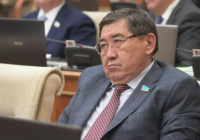 Депутаттар Нұрбол Назарбаевтың әрекетіне шағымданды – қосымша тергеу басталды