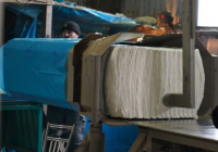 Нұралхан Көшеров Мақтааралдағы мақта өңдеу кәсіпорындарының жұмысымен танысты