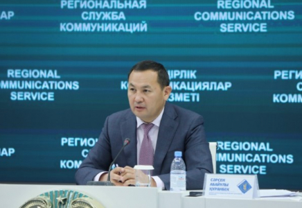 ШЫМКЕНТ: қаңғыбас жануарларды стерилизациялау шаралары қалай жүріп жатыр