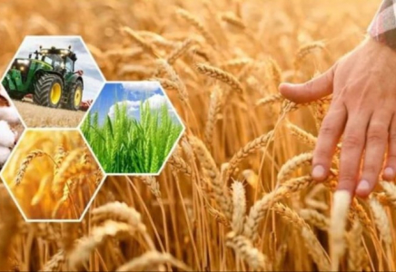 Ақтөбе облысында 296,8 млрд теңгеге ауыл шаруашылығы өнімі өндірілді