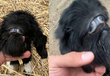 Қызылорда облысында 