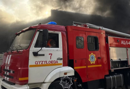 Алматы облысында бес бала өртеніп кете жаздады