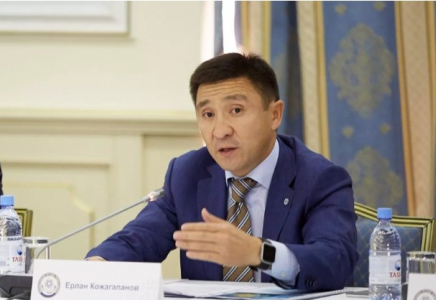 Ерлан Қожағапановтың не үшін ұсталғаны жарияланды