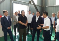 ​ТҮРКІСТАН: ОРДАБАСЫДА МАЛ СҮЙЕКТЕРІН ӨҢДЕЙТІН ЗАУЫТ БИЫЛ ІСКЕ ҚОСЫЛАДЫ
