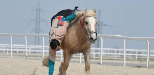 ​ШЫМКЕНТТЕ НАУРЫЗНАМА ОНКҮНДІГІ АЯСЫНДА ҰЛТТЫҚ СПОРТ ТҮРЛЕРІНЕН САЙЫСТАР ӨТТІ