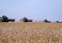 АӨК дамуының жаңа деңгейі: Президенттің тапсырмасы бойынша прогрессивті агроэкономикаға көшу басталды