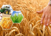 Ақтөбе облысында 296,8 млрд теңгеге ауыл шаруашылығы өнімі өндірілді