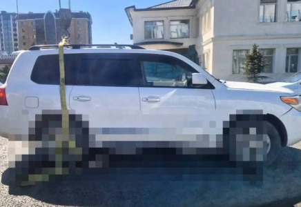 Семейде Toyota Land Cruiser мінген жүргізуші зейнеткер әжейді қағып кетті