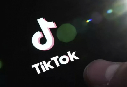 Еуроодақта TikTok-қа тыйым салынуы мүмкін