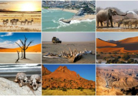 АФРИКА САПАРЫ: «Күн құрсағындағы құрлыққа» ғашық қылатын 4 ел