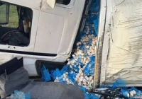Ақмола облысында 17 тонна саңырауқұлақ тиеген жүк көлігі аударылды