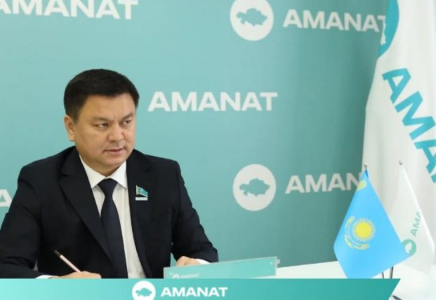 Шымкенттік депутат көпбалалы ананың мәселесін бақылауға алды