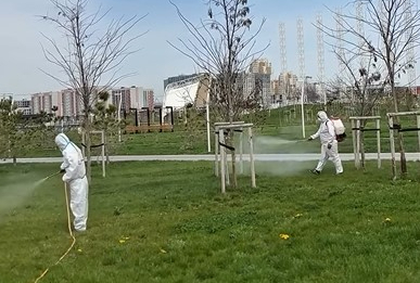 Шымкентте масаға қарсы залалсыздандыру жұмыстары басталды