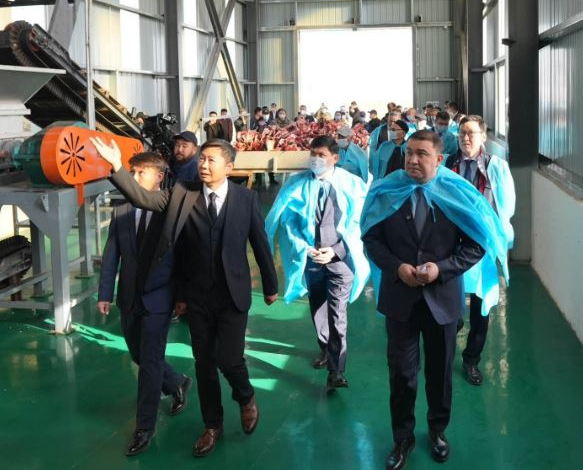 ​Түркістан облысында 9 млрд теңгелік мал сүйегін өңдеу зауыты іске қосылды