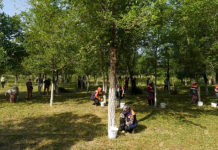 Түркістанда Дүниежүзілік қоршаған ортаны қорғау күні аталып өтті