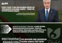 ​ИНВЕСТИЦИЯЛЫҚ ЖОБА: ШЫМКЕНТТЕ ОРТА АЗИЯДАҒЫ ЕҢ ІРІ ЖЫЛЫЖАЙ КЕШЕНІ САЛЫНУДА