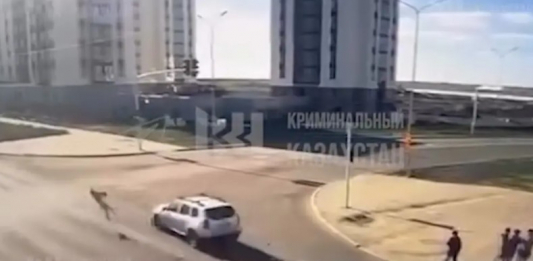 Астанада жолға жүгіріп шыққан баланы көлік оншақты метр жерге ұшырып кеткен (ВИДЕО)