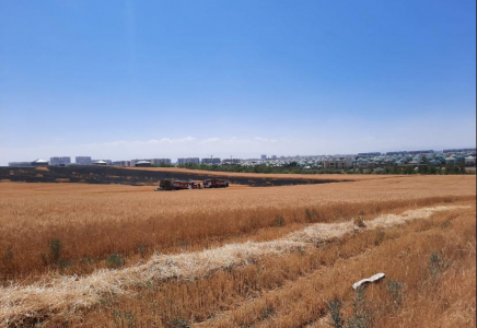 ШЫМКЕНТ: Асар-2 шағын ауданынан өрт шықты