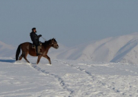 Қарағандыда мал іздеуге шыққандар жоғалып кетті
