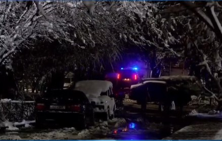 Шымкентте ағаш құлап 10 жастағы бала мерт болды