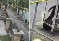 Адам өлтіргені үшін соттылық және шизофрения: Алматыда зейнеткерді соққыға жыққан ер адам туралы не белгілі