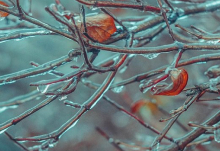 Еліміздің 15 өңірінде дауылды ескерту жарияланды