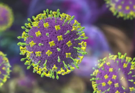 Үндістанда қауіпті вирус тарай бастады