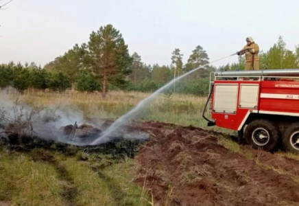 Семейдегі орман өрті: 277 адам эвакуацияланды