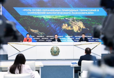 Елімізде 180 қар барысы бар