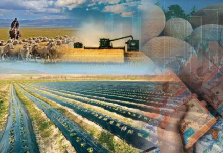 ТҮРКІСТАН: Ақтөбе ауылдық округінде жұмыс қарқыны жоғары