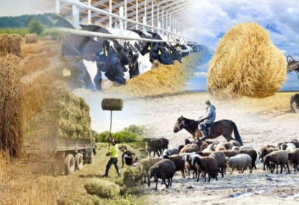 Соңғы 5 жыл ішінде ауыл шаруашылығы кооперативтерінің саны 1,5 есе өсті