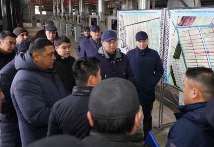 Дархан Сатыбалды Мақтааралдағы құрылыс нысандарына барды