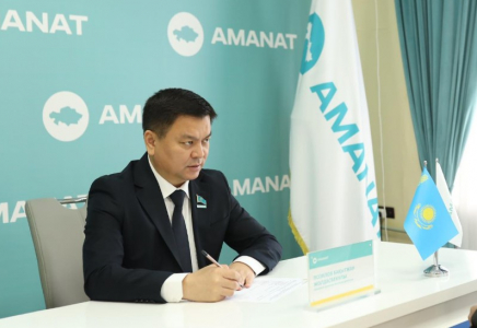 Депутат взял на личный контроль проблему одинокой матери в Шымкенте