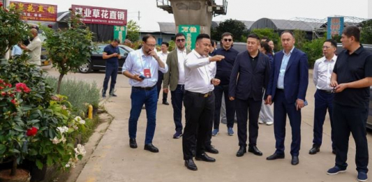 ТҮРКІСТАН: Қытай тәжірибесі өңірді көгалдандырудың жаңа кезеңіне жол ашады