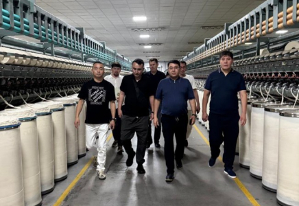 Түркістандық делегация Вэньчжоу қаласындағы ірі компаниялардың жұмысымен танысты
