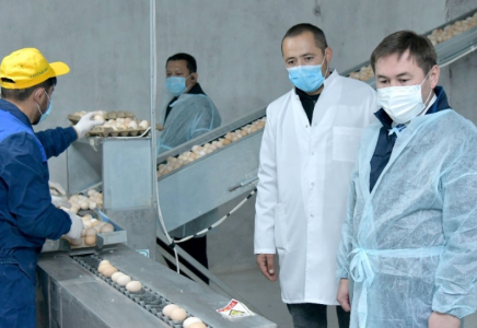 Мұрат Әйтенов кәсіпкерлік нысандарды аралады