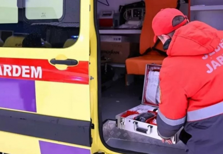 Доссорда анасы мен балалары газдан уланды