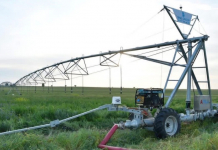 Түркістан облысында көктемгі дала жұмыстары тұрақты жүргізіліп жатыр