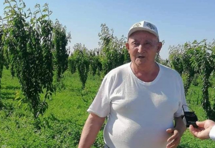 ТҮРКІСТАН: Жетісайлық 80 жастағы қария бақ өсіруді қолға алды