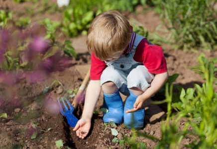Қазақстанда «Жасыл балабақшалар» саны артып келеді Қазақстанда «Жасыл балабақшалар» саны артып келеді